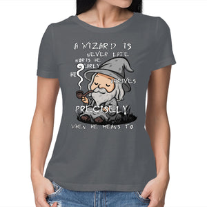 A Wizard Is Never Late