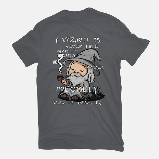 A Wizard Is Never Late-Mens-Basic-Tee-fanfabio