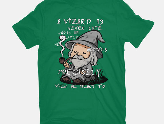 A Wizard Is Never Late