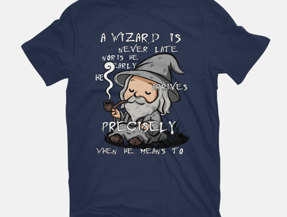 A Wizard Is Never Late