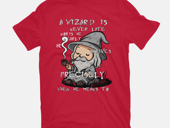 A Wizard Is Never Late
