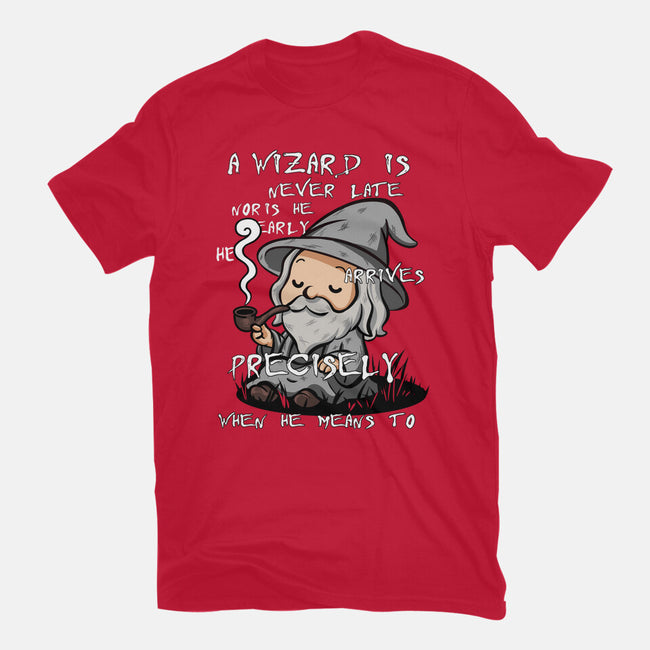 A Wizard Is Never Late-Mens-Heavyweight-Tee-fanfabio