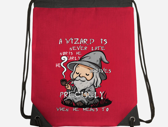 A Wizard Is Never Late