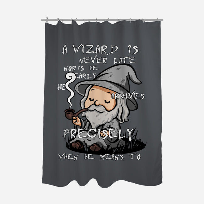 A Wizard Is Never Late-None-Polyester-Shower Curtain-fanfabio