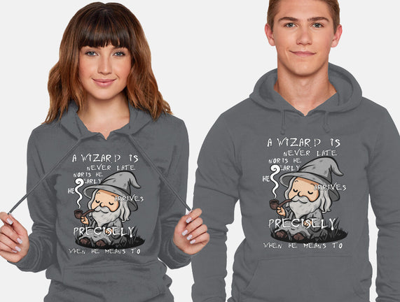 A Wizard Is Never Late