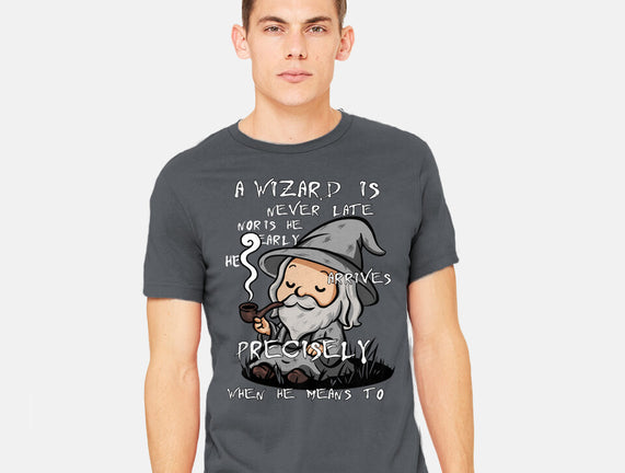 A Wizard Is Never Late