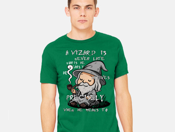A Wizard Is Never Late