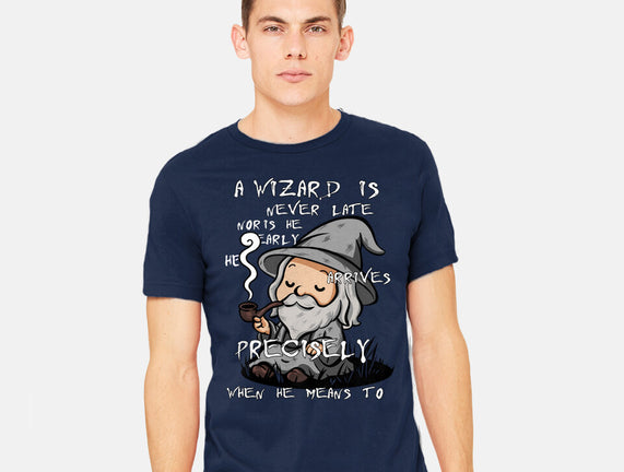 A Wizard Is Never Late