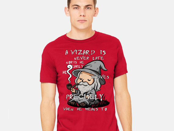 A Wizard Is Never Late