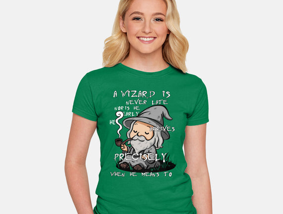 A Wizard Is Never Late