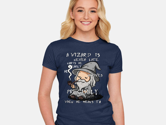 A Wizard Is Never Late