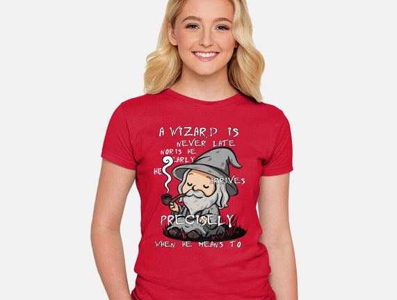 A Wizard Is Never Late