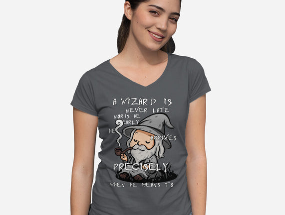 A Wizard Is Never Late