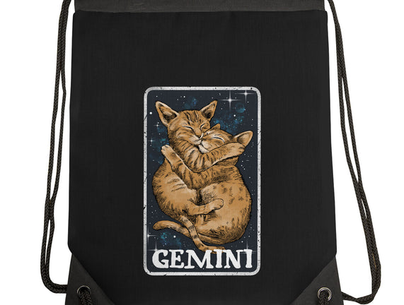 Gemini Cat