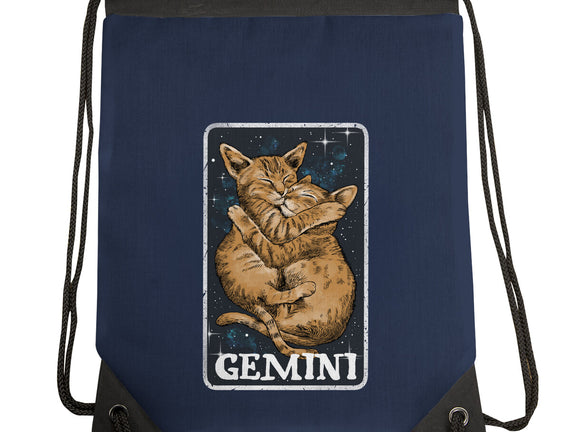 Gemini Cat