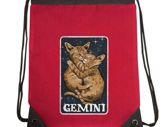 Gemini Cat