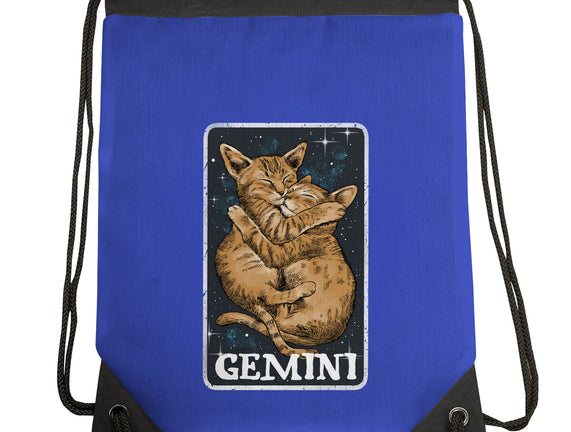 Gemini Cat