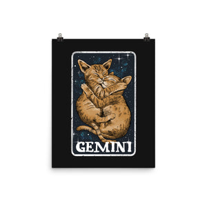 Gemini Cat