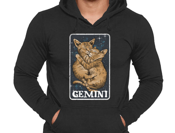 Gemini Cat