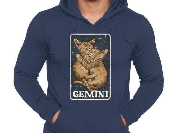 Gemini Cat