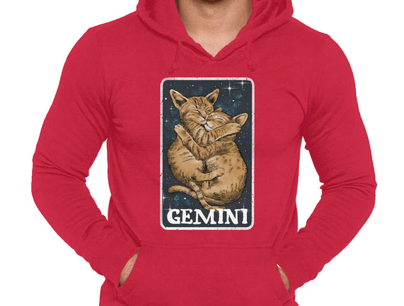 Gemini Cat