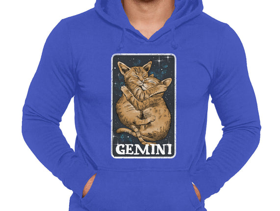 Gemini Cat