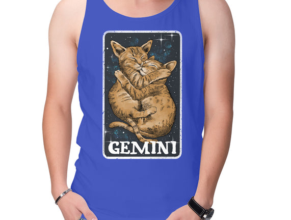 Gemini Cat