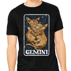 Gemini Cat