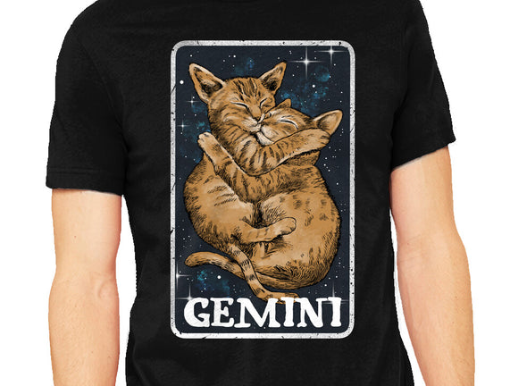 Gemini Cat