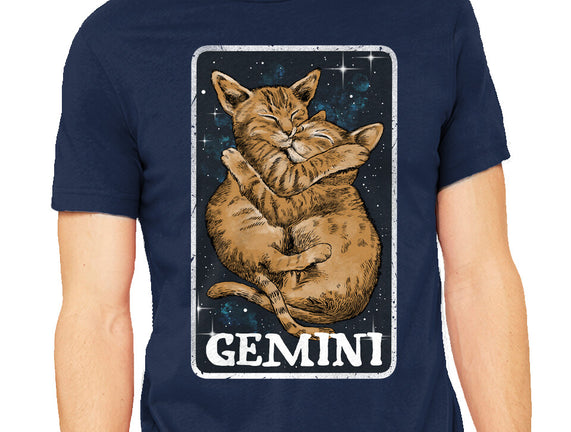 Gemini Cat