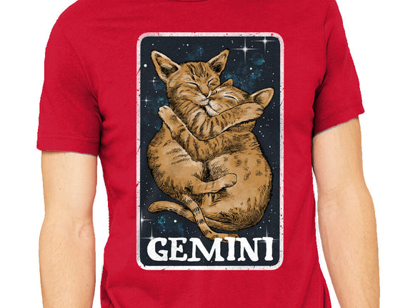 Gemini Cat