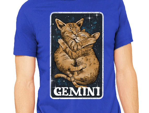 Gemini Cat
