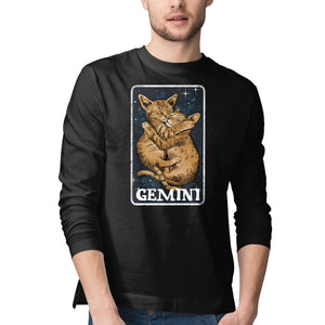 Gemini Cat