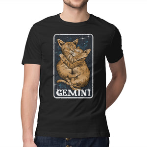 Gemini Cat