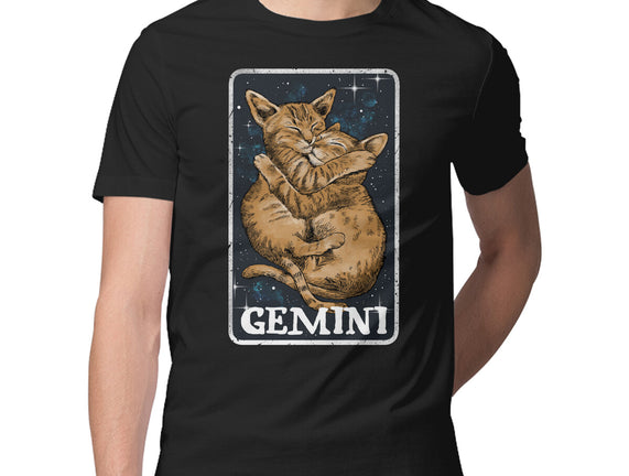 Gemini Cat