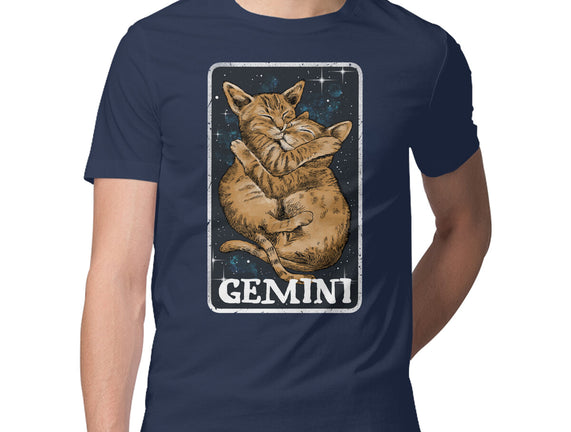 Gemini Cat
