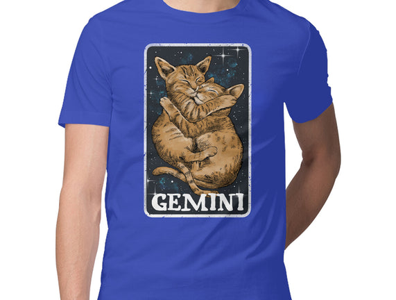 Gemini Cat