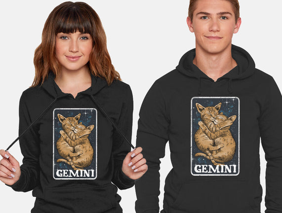 Gemini Cat