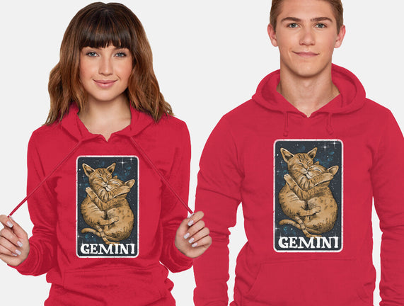 Gemini Cat