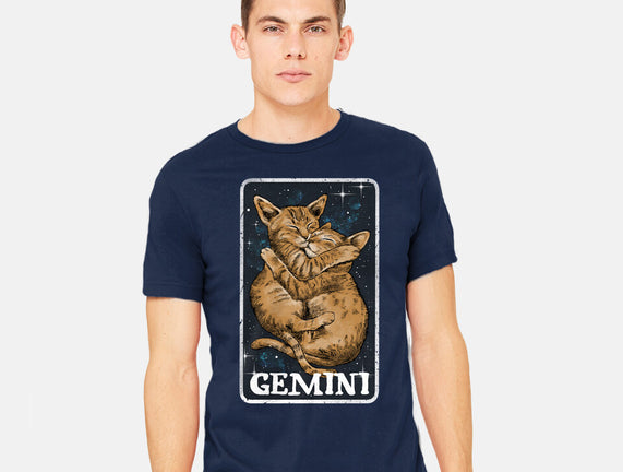 Gemini Cat
