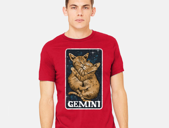 Gemini Cat