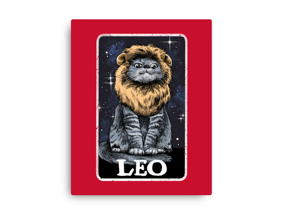 Leo Cat