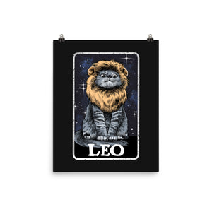 Leo Cat