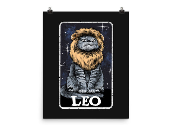 Leo Cat