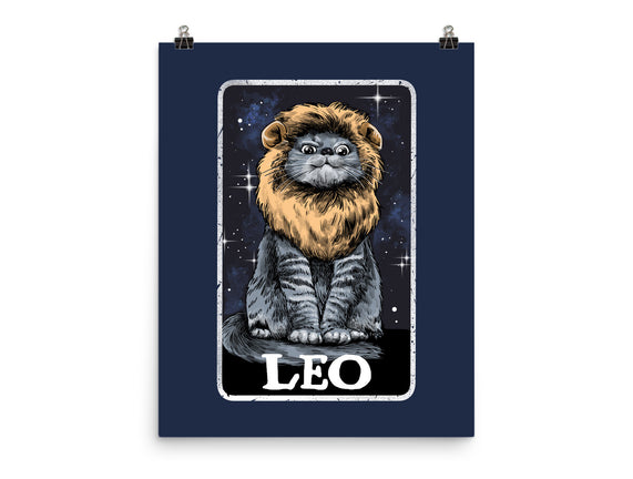 Leo Cat