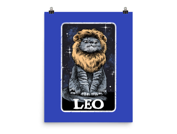 Leo Cat
