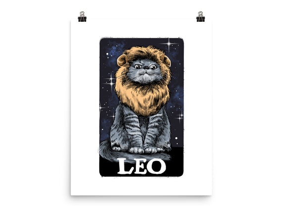 Leo Cat