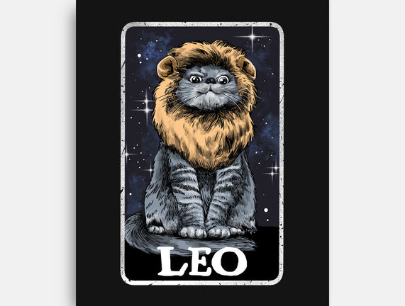 Leo Cat