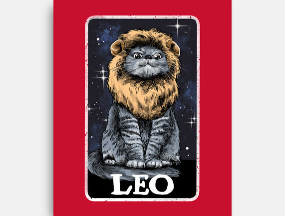 Leo Cat