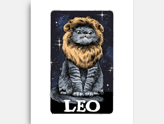Leo Cat